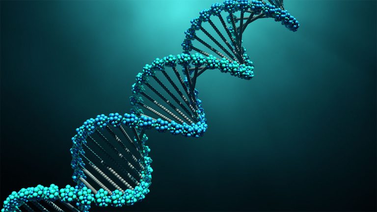 Missing Dopamine Restored in Children With Atypical Brain Disorder by Gene Therapy