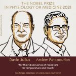U.S DUO DAVID JULIUS AND ARDEM PATAPOUTIAN AWARDED THE 2021 NOBEL PRIZE IN PHYSIOLOGY OR MEDICINE