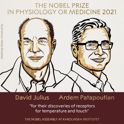 U.S DUO DAVID JULIUS AND ARDEM PATAPOUTIAN AWARDED THE 2021 NOBEL PRIZE IN PHYSIOLOGY OR MEDICINE
