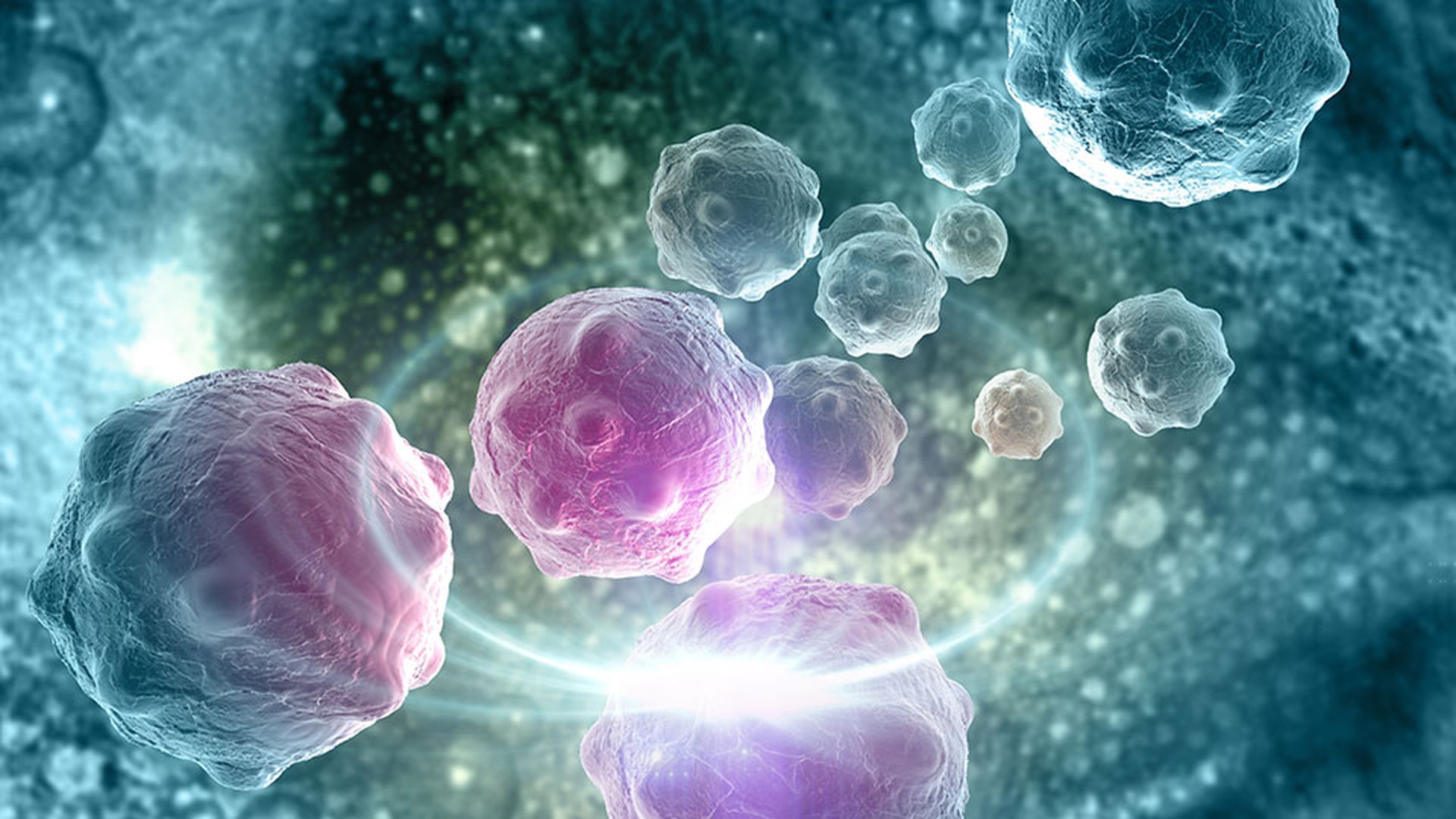 Success achieved with the first-in-class oral anti-cancer drug, Inobrodib, by CellCentric and Sygnature Discovery.